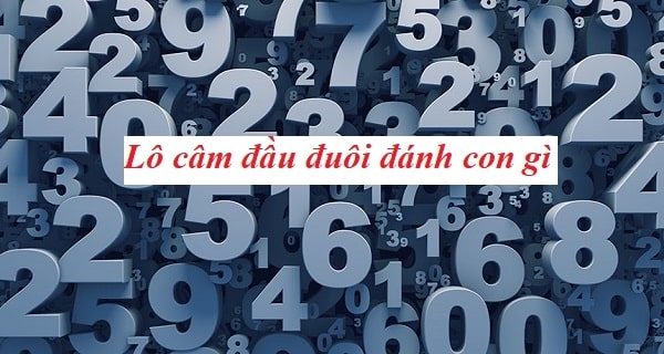 Kinh nghiệm nuôi cầu khi lô ra theo đuôi câm